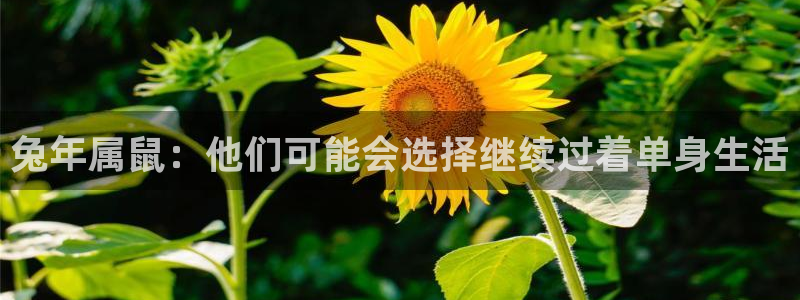 jdb电子平台官网