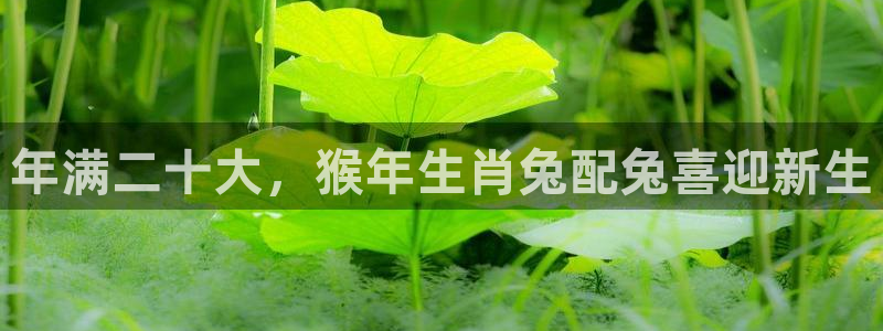 jdb电子平台官网