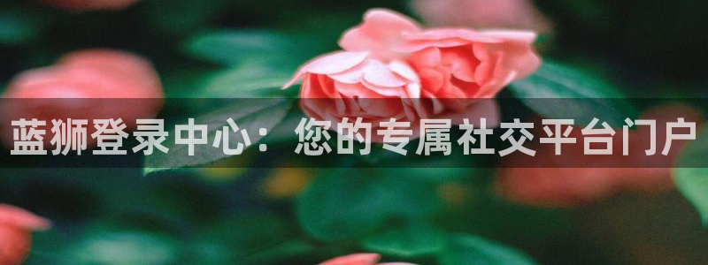 jdb电子在线登录