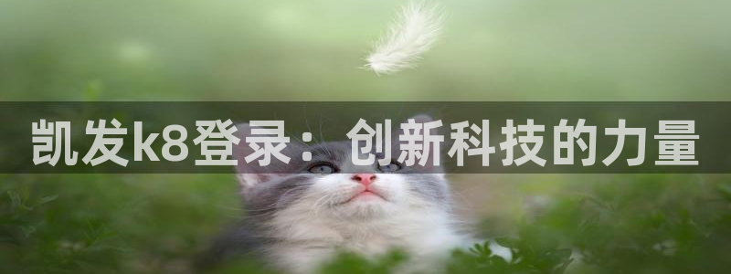 jdb电子网址大全