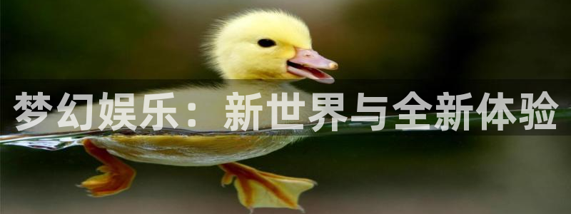 jdb电子官网