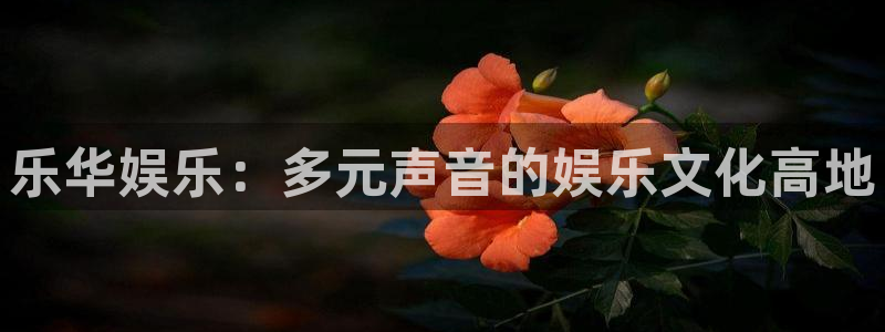 jdb电子游戏变脸大奖