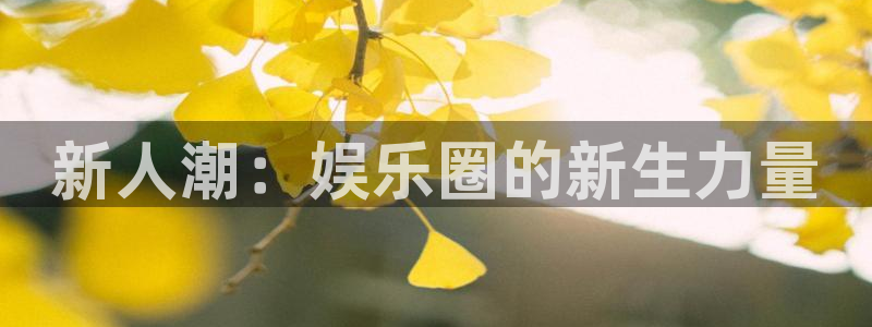 jdb电子王牌 jdb电子神偷妙贼
