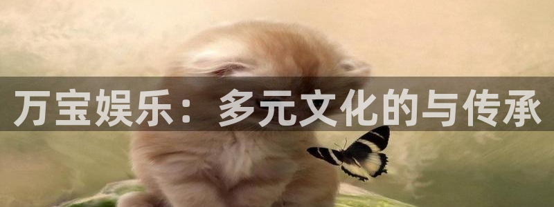 jdb官网