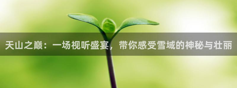 jdb电子游戏官方网站