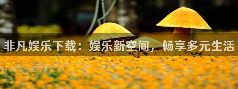 jdb电子平台官网