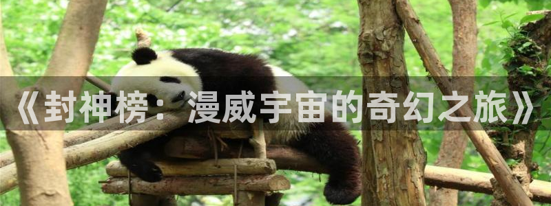 jdb电子登录入口：《封神榜：漫威宇宙的奇幻之旅》