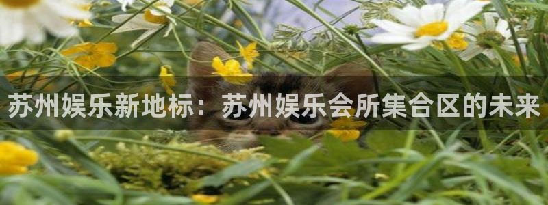 jdb电子夺宝在线试玩：苏州娱乐新地标：苏州娱乐会所集合区的未来