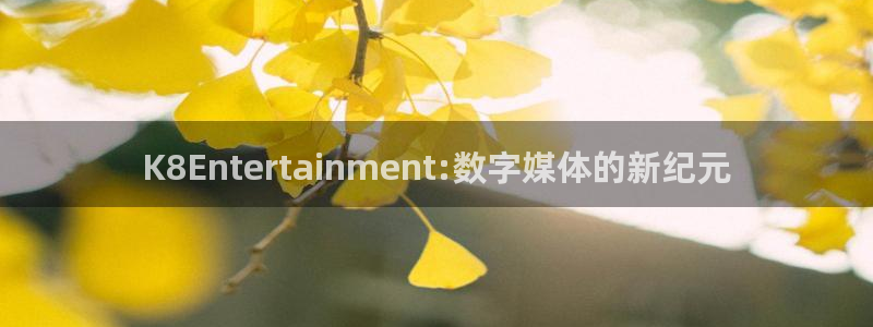jdb电子网址：K8Entertainment:数字媒体的新纪元