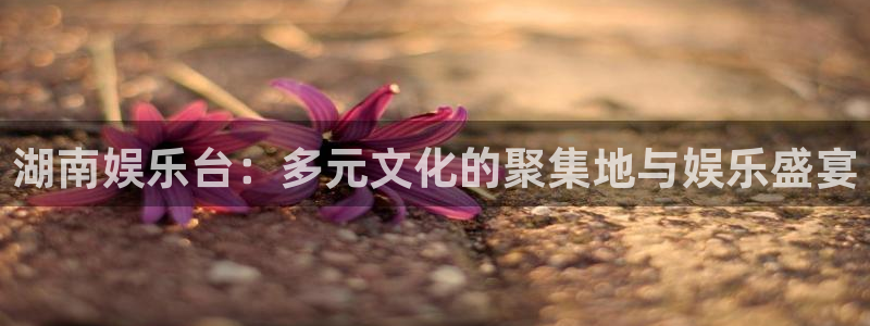 jdb电子娱乐：湖南娱乐台：多元文化的聚集地与娱乐盛宴