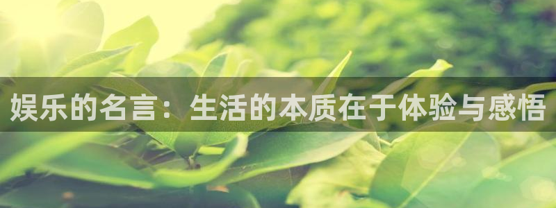 jdb电子游戏攻略
